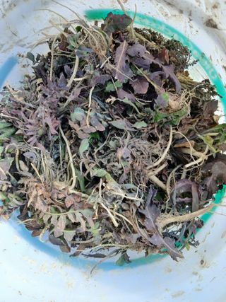 이갑덕님의 자유주제 · 자유게시판 작성글 사진