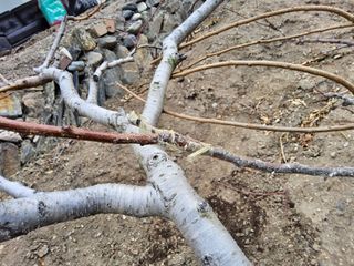 김용대님의 자유주제 · 자유게시판 작성글 사진