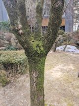 한농농약종묘사님의 자유주제·자유게시판 작성글 사진