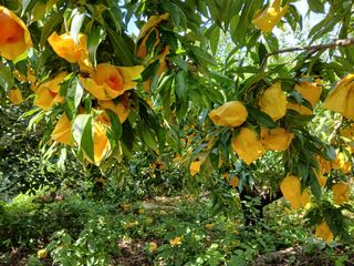 장용길님의 작성글 사진
