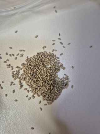 김샛별님의 자유주제 · 자유게시판 작성글 사진