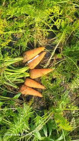 팜모닝 자유주제·자유게시판 게시글 이미지