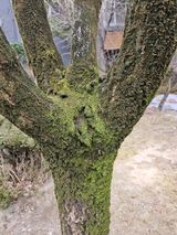 팜모닝 자유주제·자유게시판 게시글 이미지