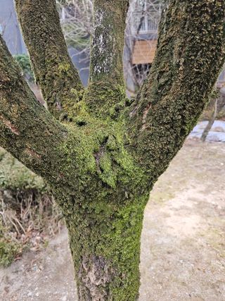 한농농약종묘사님의 자유주제·자유게시판 작성글 사진