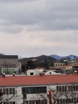 팜모닝 자유주제·자유게시판 게시글 이미지