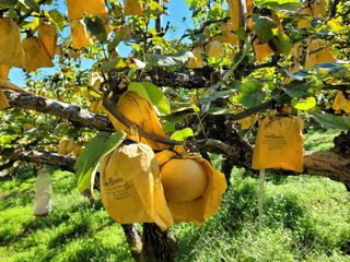 독고다이님의 작성글 사진