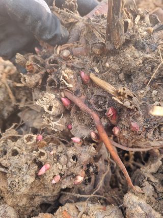 이호성님의 자유주제 · 자유게시판 작성글 사진