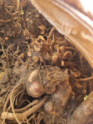 이호성님의 자유주제 · 자유게시판 작성글 사진