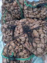 팜모닝 · 게시글 이미지