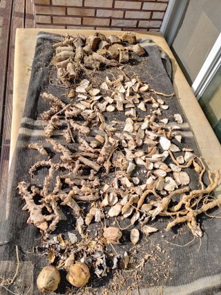 이현상님의 자유주제 · 자유게시판 작성글 사진