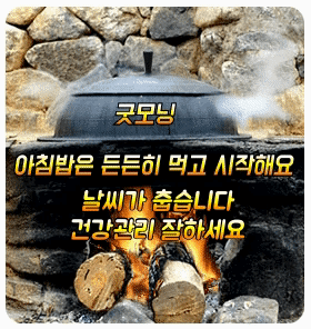 김수정님의 자유주제 · 자유게시판 작성글 사진