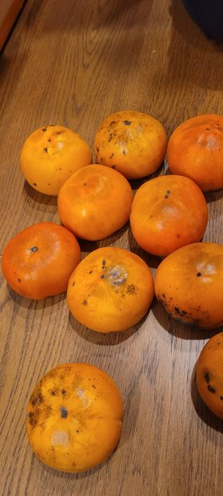 박송녀님의 작성글 사진