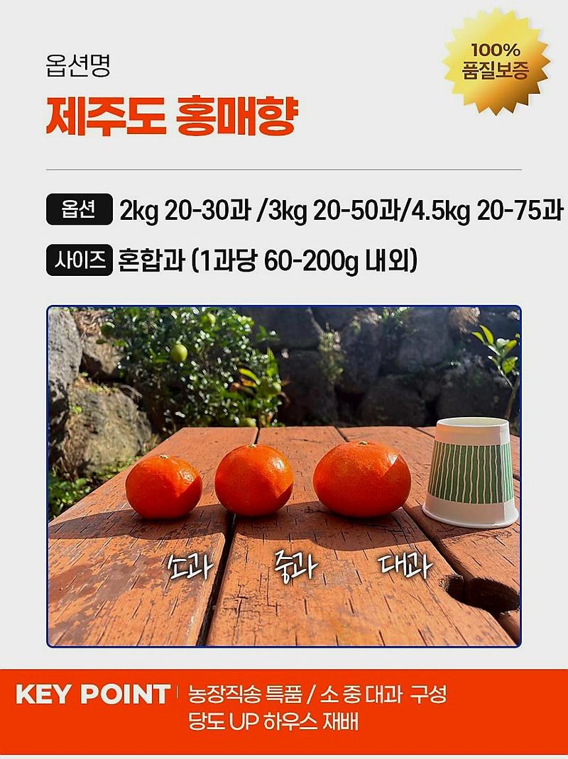 자두14488님의 장터 판매 상품 [제주도 홍매향 극강의 달콤함 빨간 홍매향 고당도 프리미엄] 첨부 사진