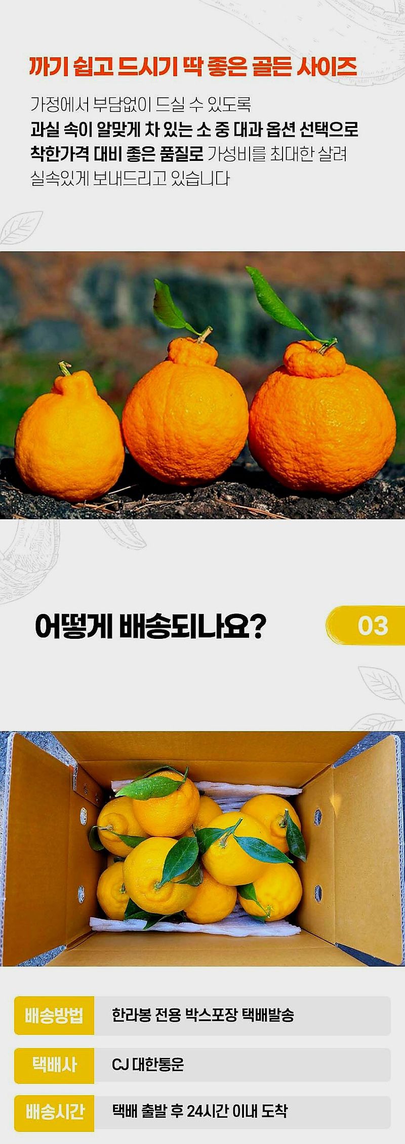 자두14488님의 장터 판매 상품 [실속형 한라봉 혼합과 2kg] 첨부 사진