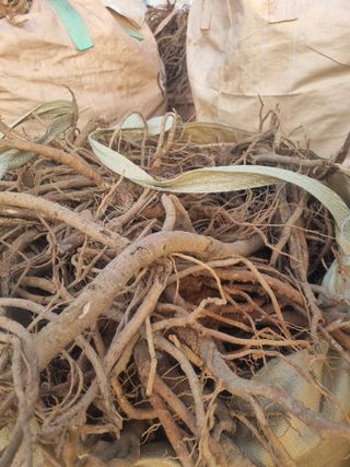 이호성님의 자유주제 · 자유게시판 작성글 사진