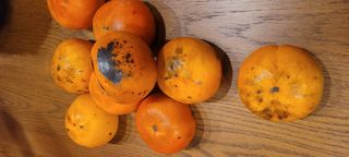 박송녀님의 작성글 사진