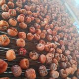 팜모닝 · 게시글 이미지