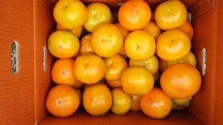 독고다이님의 작성글 사진