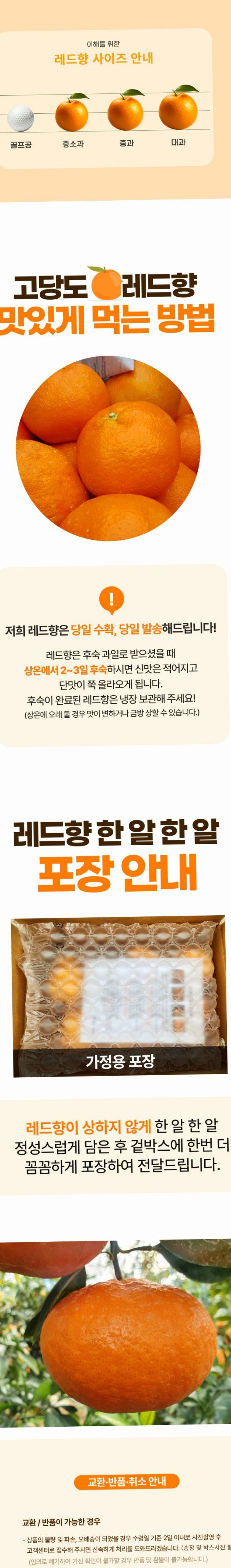 자두14488님의 장터 판매 상품 [프리미엄 레드향 중과 2kg] 첨부 사진