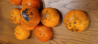 박송녀님의 작성글 사진