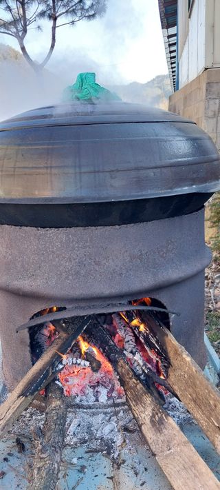 낙엽교목류15665님의 자유주제 · 자유게시판 작성글 사진