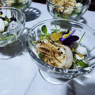 별빛나그네화성님의 자유주제 · 자유게시판 작성글 사진