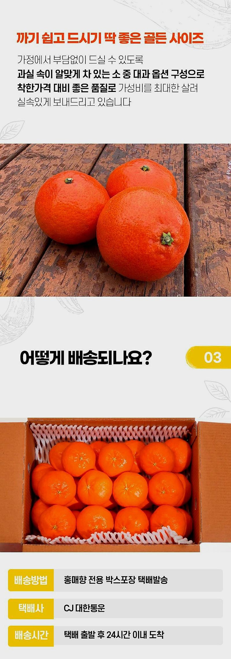 자두14488님의 장터 판매 상품 [제주도 홍매향 극강의 달콤함 빨간 홍매향 고당도 프리미엄] 첨부 사진