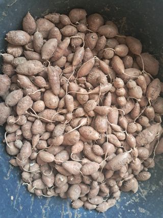 윤형곤님의 자유주제 · 자유게시판 작성글 사진