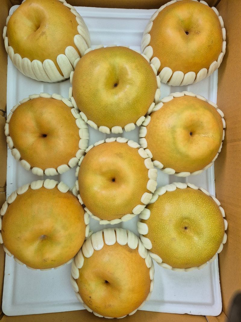 독고다이님의 장터 판매 상품 [[구정 선물세트] 도라지 배즙  30봉지  50봉지,100봉지.무료배송] 첨부 사진