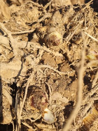 이호성님의 자유주제 · 자유게시판 작성글 사진