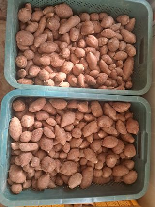 윤형곤님의 자유주제 · 자유게시판 작성글 사진