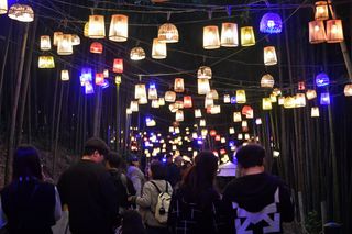 국중선님의 자유주제 · 자유게시판 작성글 사진