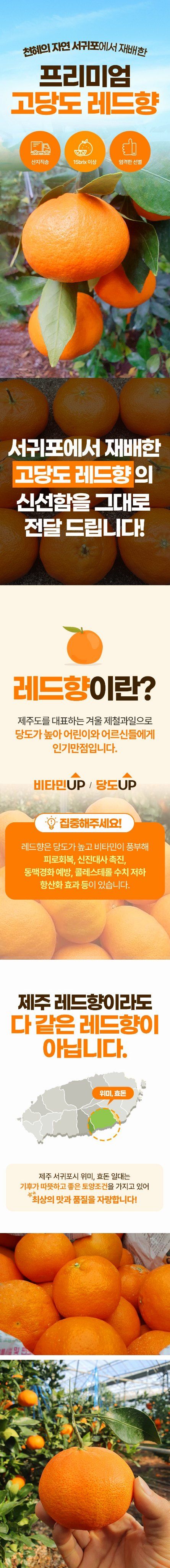 자두14488님의 장터 판매 상품 [프리미엄 레드향 중과 2kg] 첨부 사진