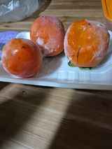 팜모닝 · 게시글 이미지