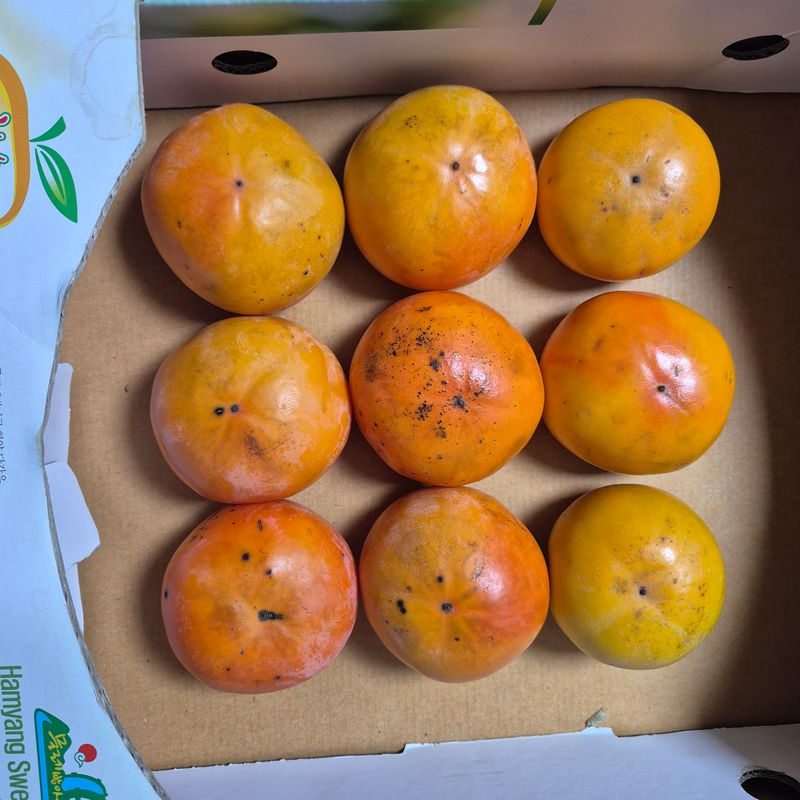 독고다이님의 장터 판매 상품 [맛으로 판단 하는 숙성 단감] 첨부 사진