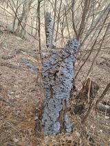 팜모닝 자유주제·자유게시판 게시글 이미지