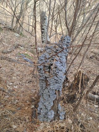 이현상님의 자유주제 · 자유게시판 작성글 사진