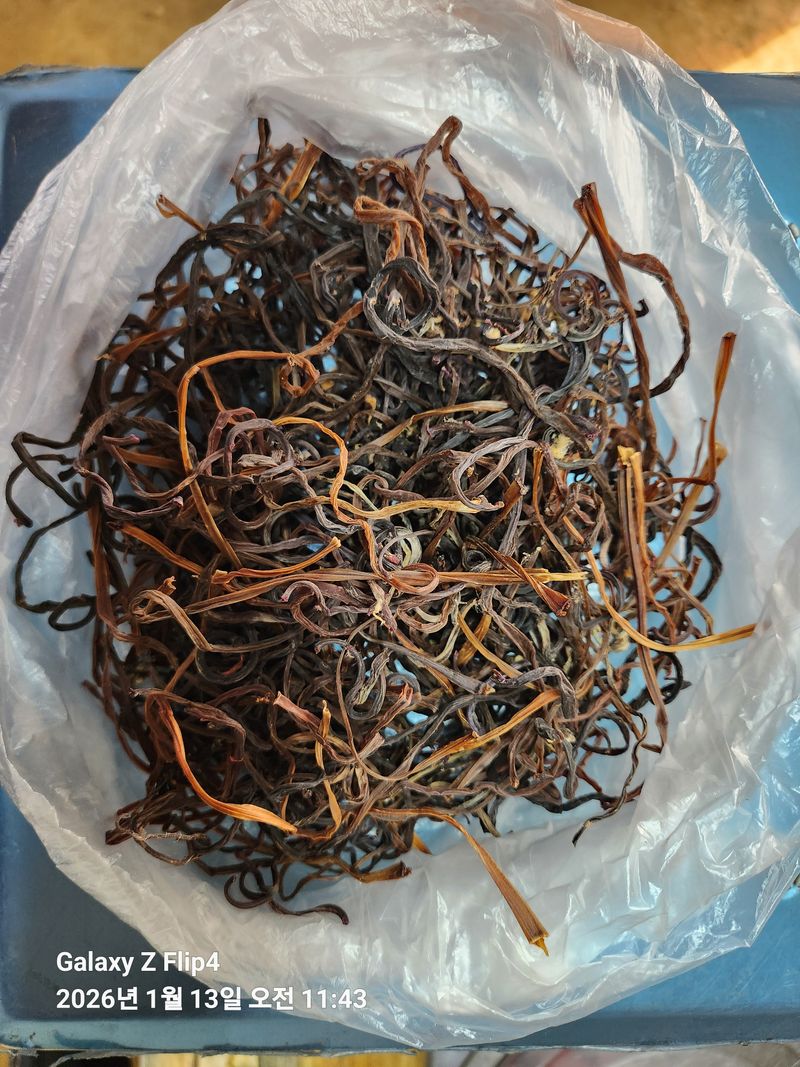 장터 상품 [자연산 건고비 100g] 썸네일