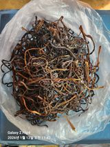 팜모닝 · 게시글 이미지