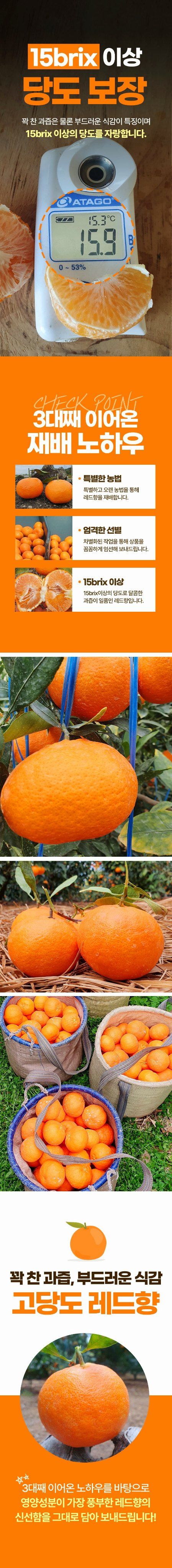 자두14488님의 장터 판매 상품 [프리미엄 레드향 중과 2kg] 첨부 사진