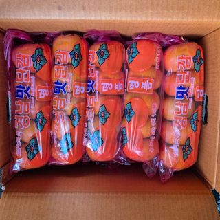 독고다이님의 작성글 사진