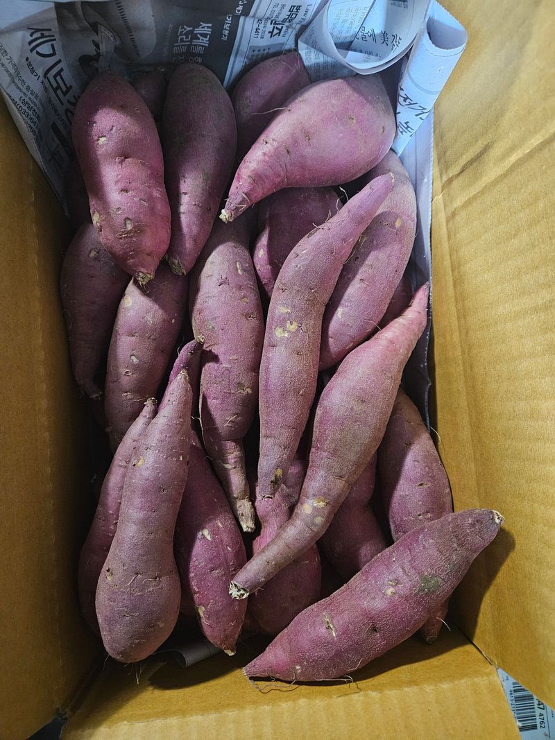 이재관(황토속애)님의 장터 판매 상품 [이거 못난이 맞나요)꿀고구마 가성비갑 못난이판매합니다.] 첨부 사진