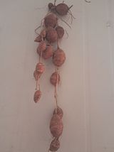 팜모닝 자유주제·자유게시판 게시글 이미지