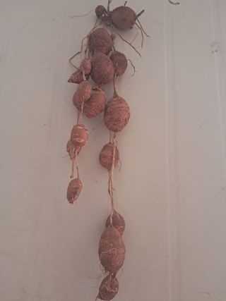 윤형곤님의 자유주제 · 자유게시판 작성글 사진