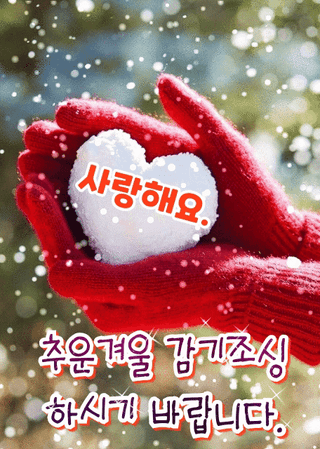 김수정님의 자유주제 · 자유게시판 작성글 사진