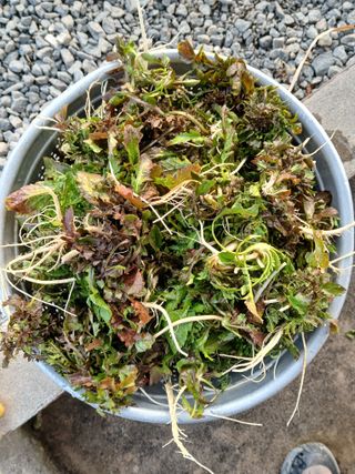 최남옥님의 자유주제 · 자유게시판 작성글 사진