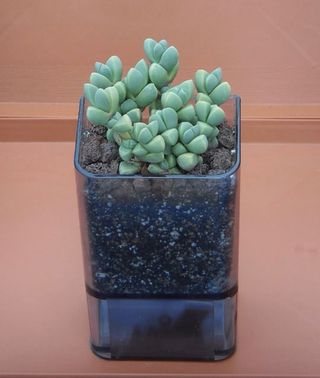 주사모님의 자유주제 · 자유게시판 작성글 사진