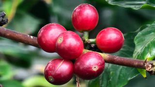 안길원님의 자유주제·자유게시판 작성글 사진