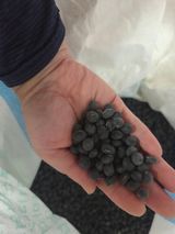 달달하니님의 자유주제·자유게시판 작성글 사진