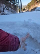 팜모닝 자유주제·자유게시판 게시글 이미지